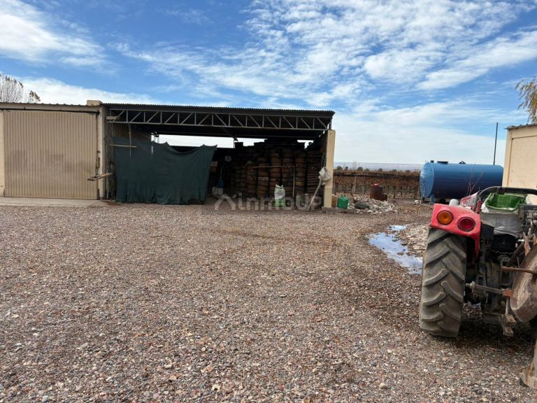 Finca en Venta en San Carlos, Mendoza