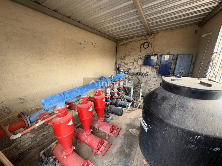 Finca en Venta en San Carlos, Mendoza