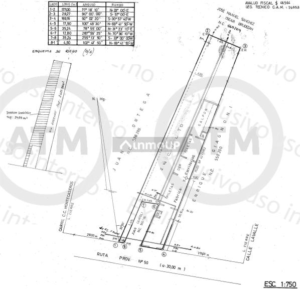 Lote en Venta en San Martin, Mendoza