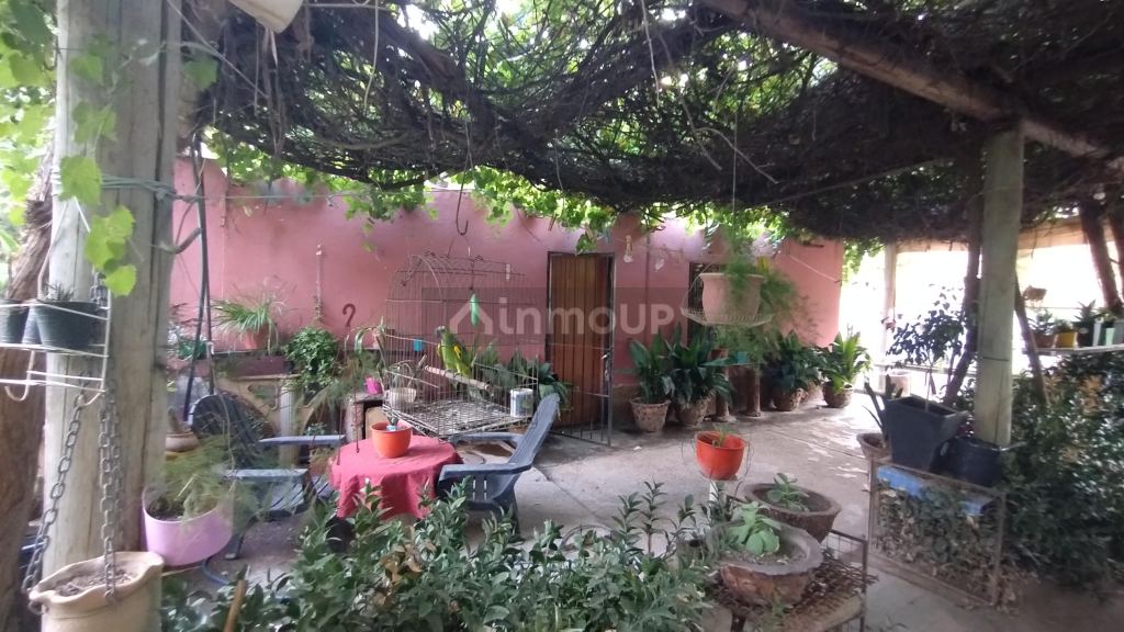 Viñedo en Venta en San Martin, Mendoza