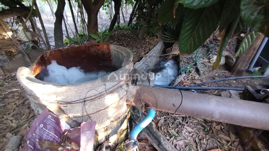 Viñedo en Venta en San Martin, Mendoza