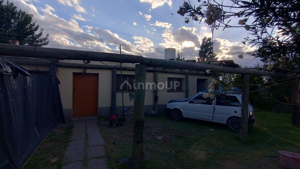 Viñedo en Venta en San Martin, Mendoza