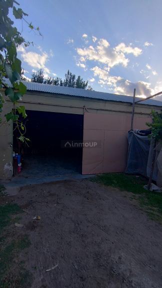 Viñedo en Venta en San Martin, Mendoza