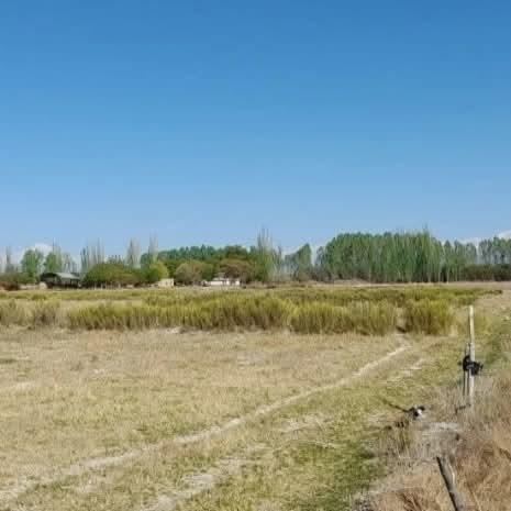 Finca en Venta en Lujan de Cuyo, Mendoza