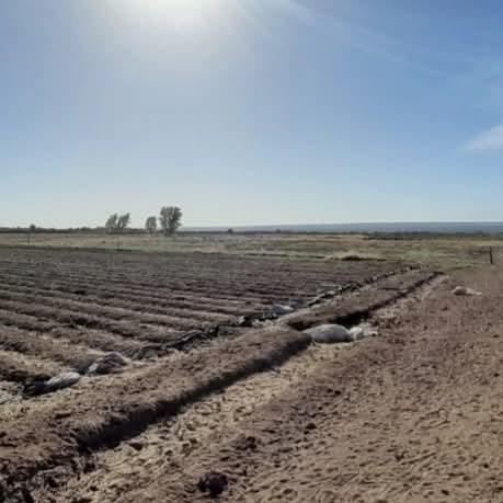 Finca en Venta en Lujan de Cuyo, Mendoza