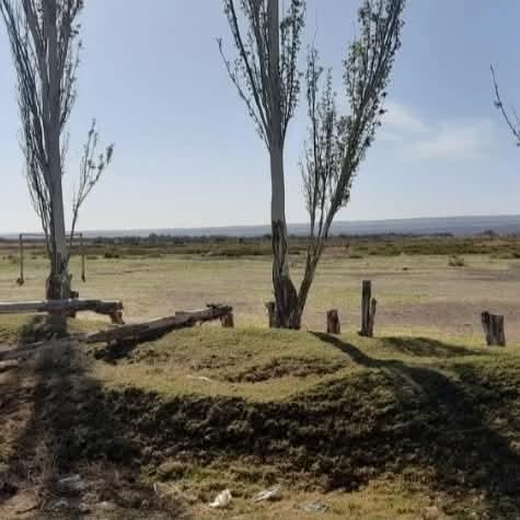 Finca en Venta en Lujan de Cuyo, Mendoza