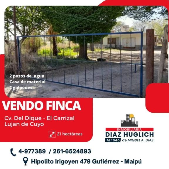 Finca en Venta en Lujan de Cuyo, Mendoza