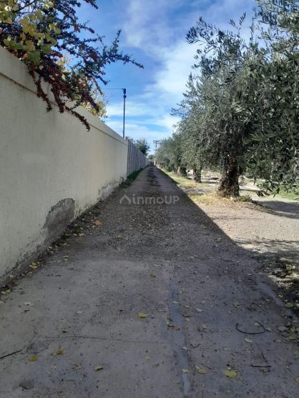 Lote en Venta en Maipu, Mendoza