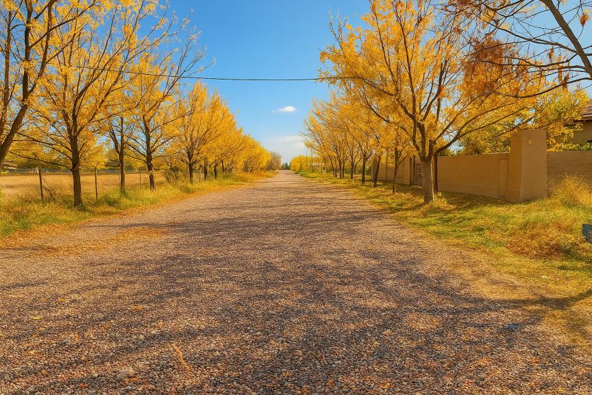Lote en Venta en Lujan de Cuyo, Mendoza