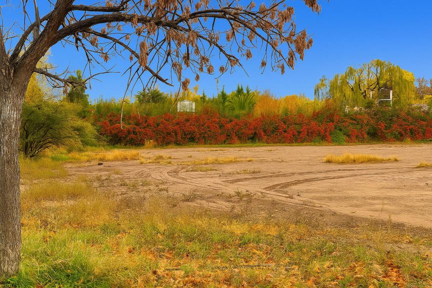 Lote en Venta en Lujan de Cuyo, Mendoza