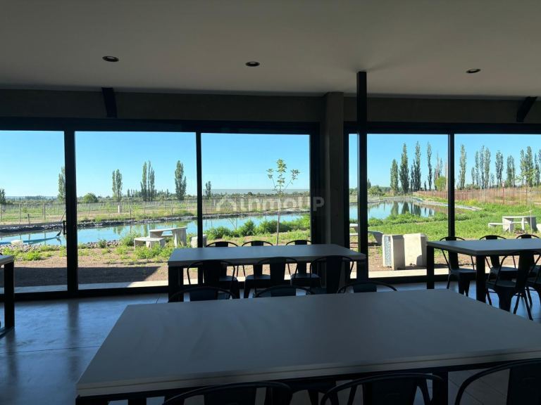 Departamento en Venta en Lujan de Cuyo, Mendoza
