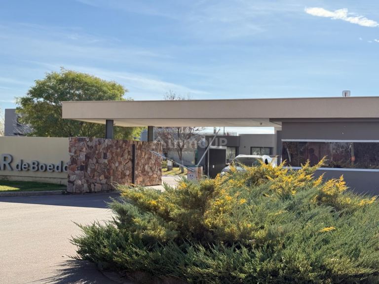 Lote en Venta en Lujan de Cuyo, Mendoza