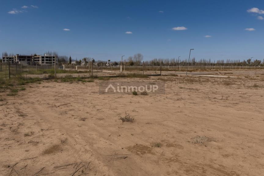 Lote en Venta en Lujan de Cuyo, Mendoza