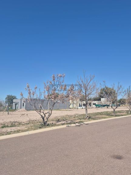 Lote en Venta en Lujan de Cuyo, Mendoza