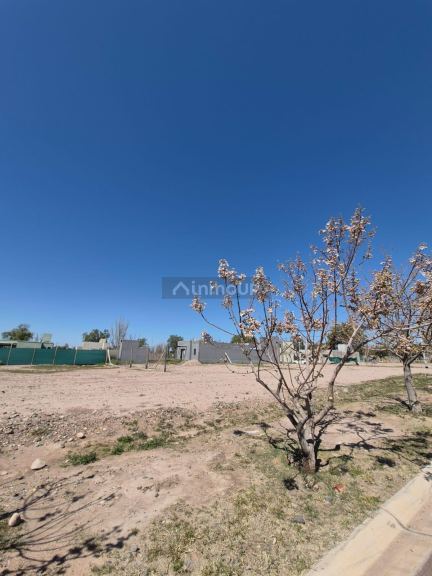 Lote en Venta en Lujan de Cuyo, Mendoza