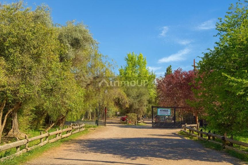 Lote en Venta en Lujan de Cuyo, Mendoza