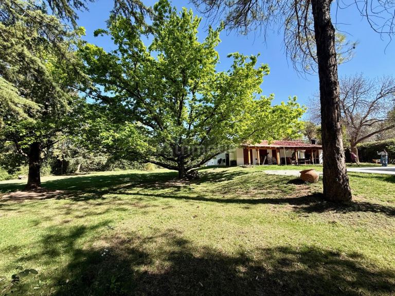 Lote en Venta en Lujan de Cuyo, Mendoza