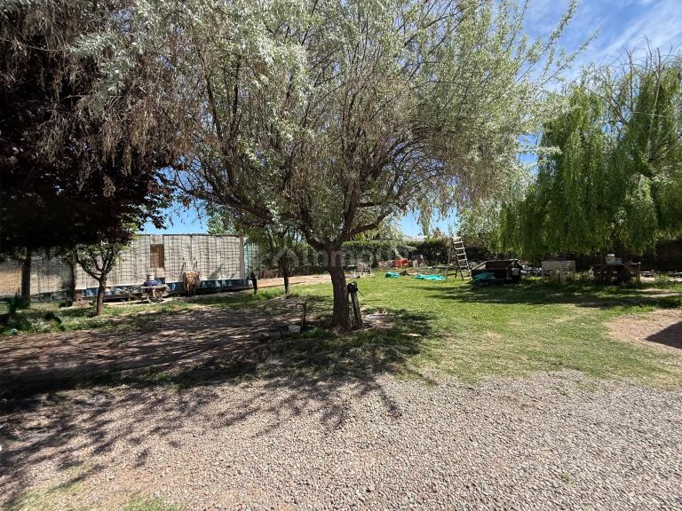 Casa en Alquiler en Lujan de Cuyo, Mendoza