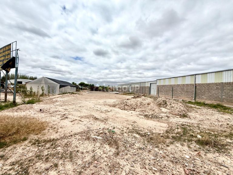 Lote en Venta en Lujan de Cuyo, Mendoza
