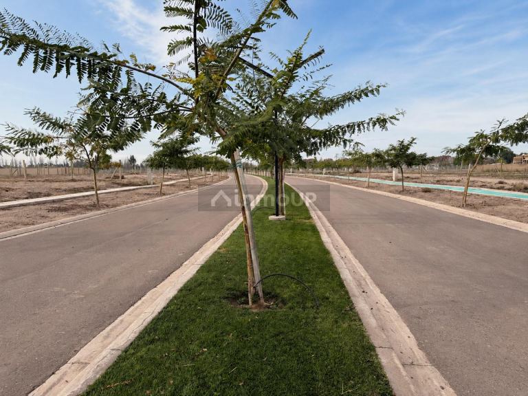 Lote en Venta en Lujan de Cuyo, Mendoza