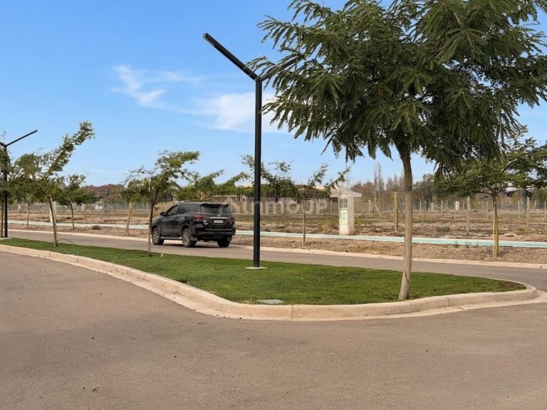 Lote en Venta en Lujan de Cuyo, Mendoza