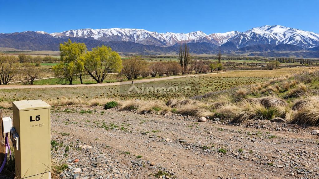Lote en Venta en Tupungato, Mendoza - USD 125.000 | Inmoup - 6