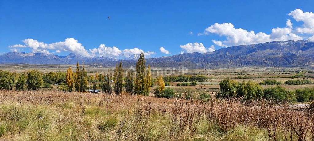 Tupungato Estancia Atamisque