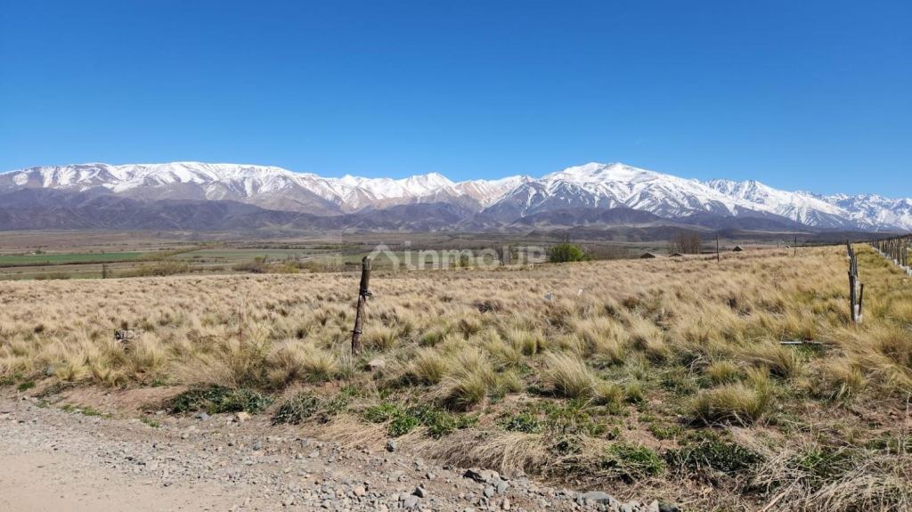 Lote en Venta en Tupungato, Mendoza - USD 125.000 | Inmoup - 7
