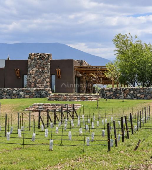Lote en Venta en Tupungato, Mendoza - USD 125.000 | Inmoup - 10