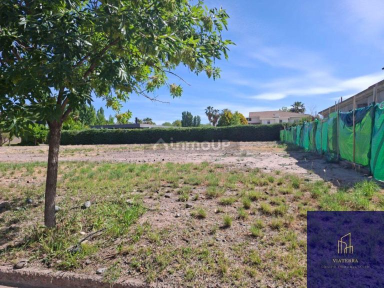 Terreno en Venta en Lujan de Cuyo, Mendoza