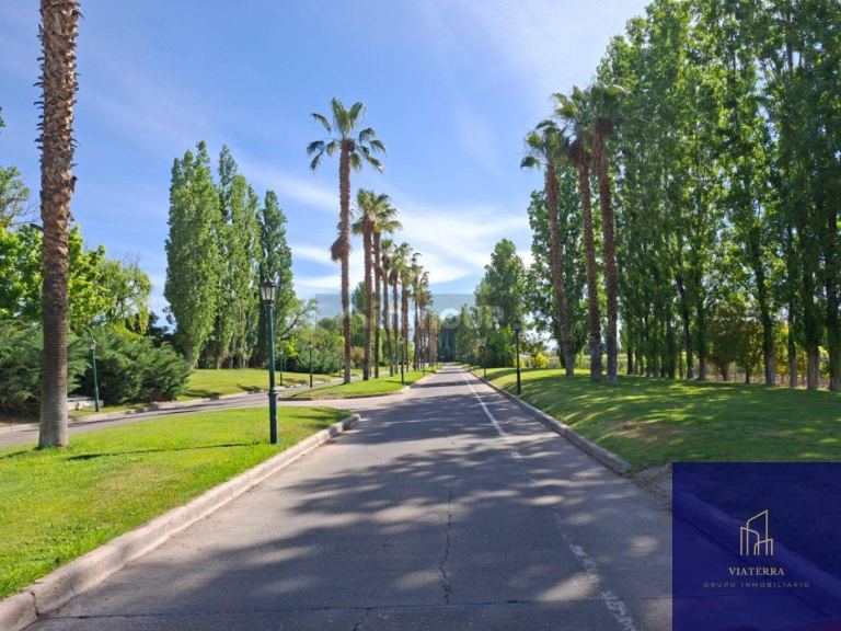 Terreno en Venta en Lujan de Cuyo, Mendoza
