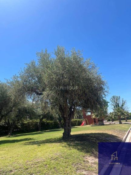 Terreno en Venta en Maipu, Mendoza