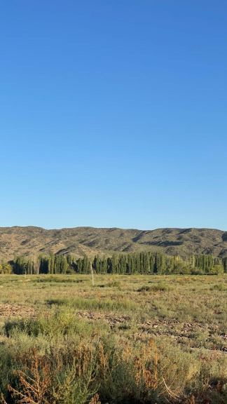 Lote en Venta en Lujan de Cuyo, Mendoza