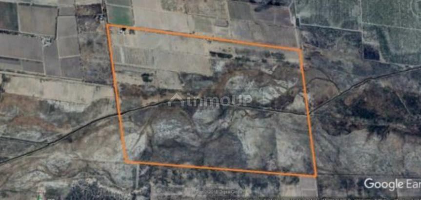 Finca en Venta en San Rafael, Mendoza