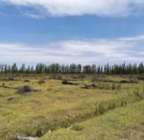Finca en Venta en San Rafael, Mendoza