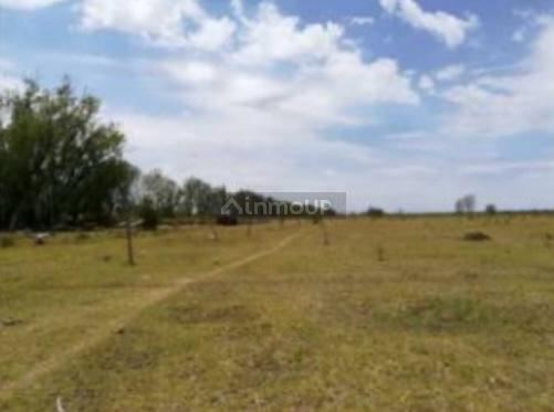 Finca en Venta en San Rafael, Mendoza