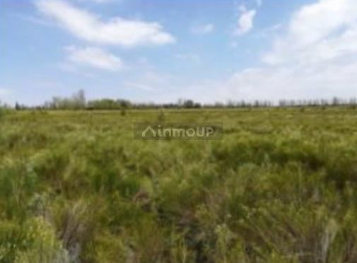 Finca en Venta en San Rafael, Mendoza