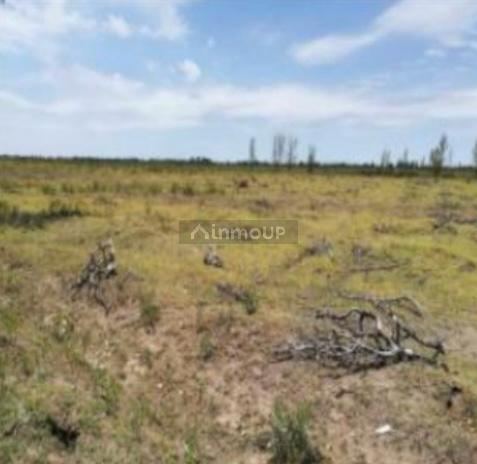 Finca en Venta en San Rafael, Mendoza