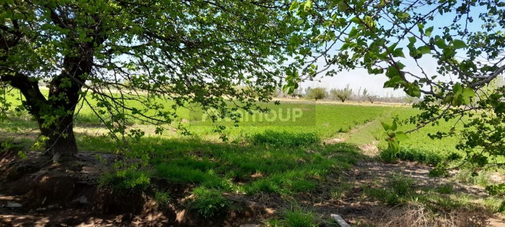 Finca en Venta en San Rafael, Mendoza