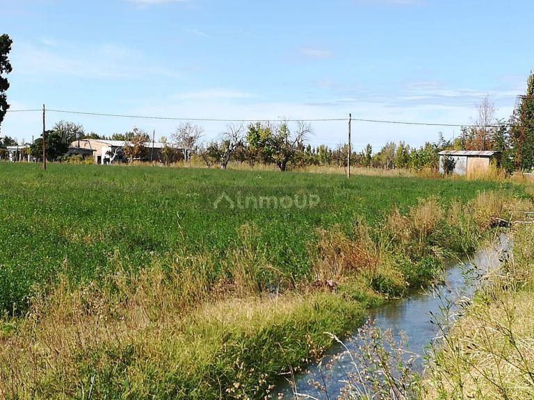 Finca en Venta en San Rafael, Mendoza