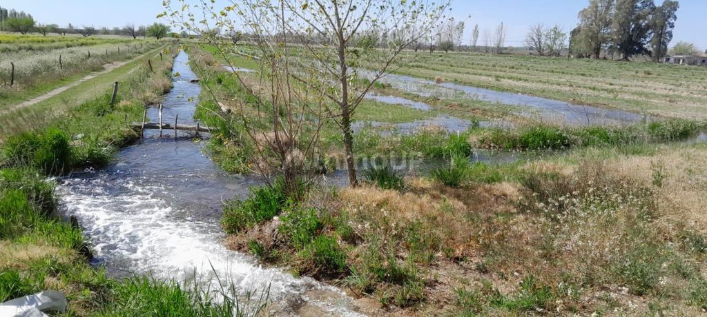 Finca en Venta en San Rafael, Mendoza