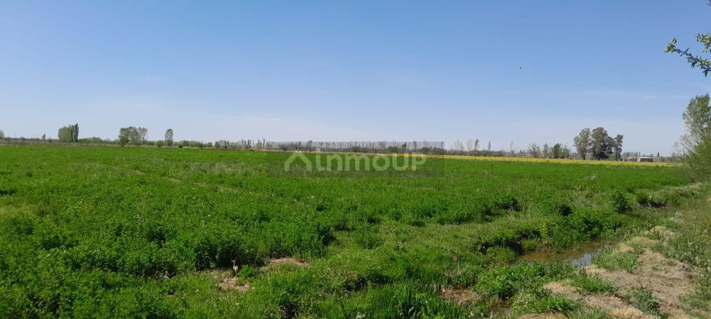 Finca en Venta en San Rafael, Mendoza