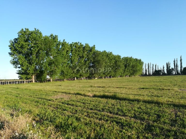 Finca en Venta en San Rafael, Mendoza
