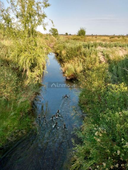 Finca en Venta en San Rafael, Mendoza