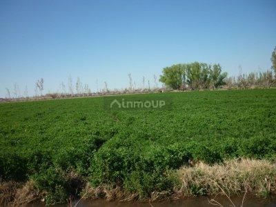 Finca en Venta en San Rafael, Mendoza