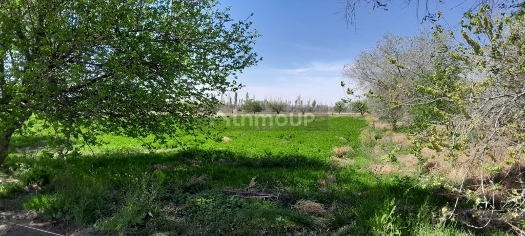 Finca en Venta en San Rafael, Mendoza