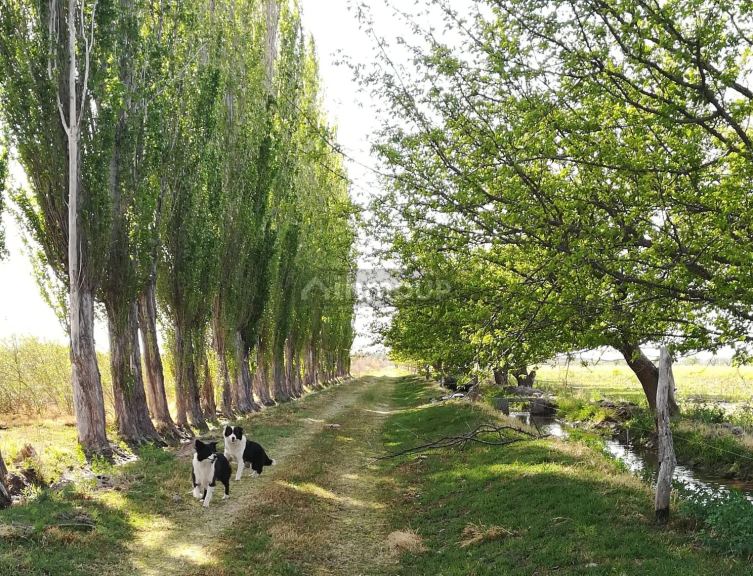 Finca en Venta en San Rafael, Mendoza