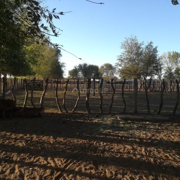 Finca en Venta en San Rafael, Mendoza
