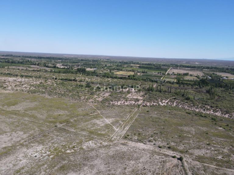 Finca en Venta en San Rafael, Mendoza
