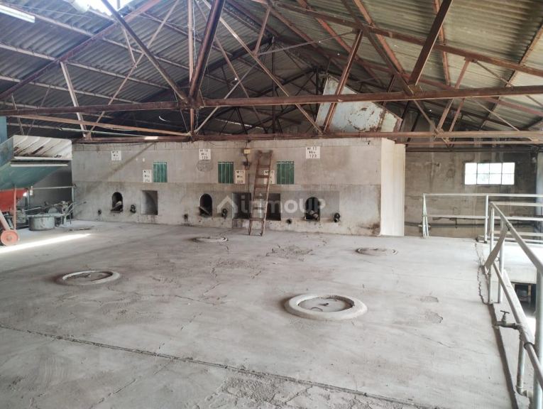 Bodega en Venta en Tunuyan, Mendoza